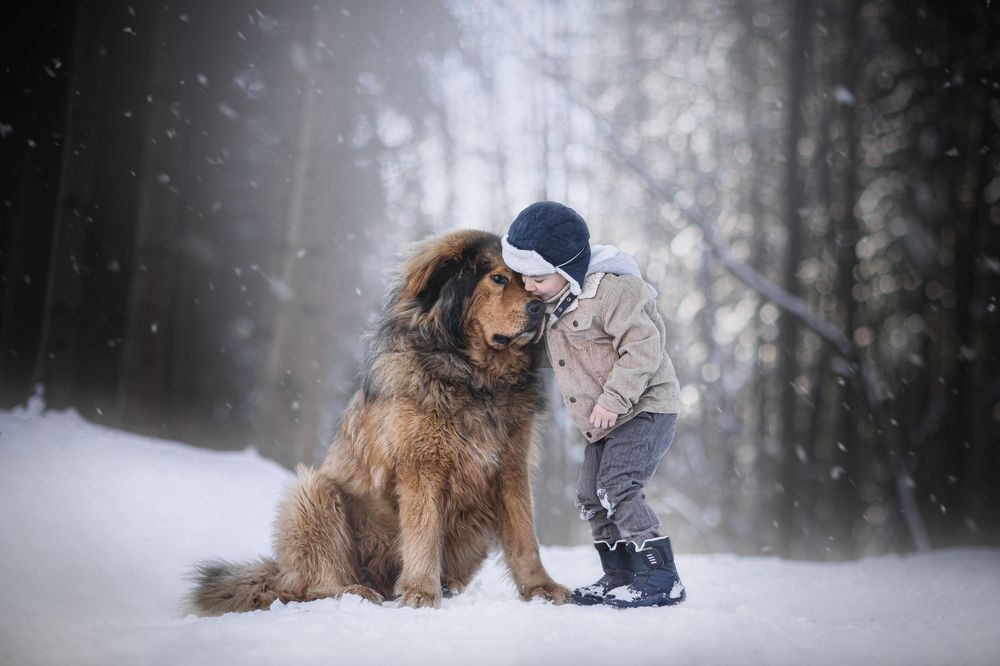 Big dog and small child