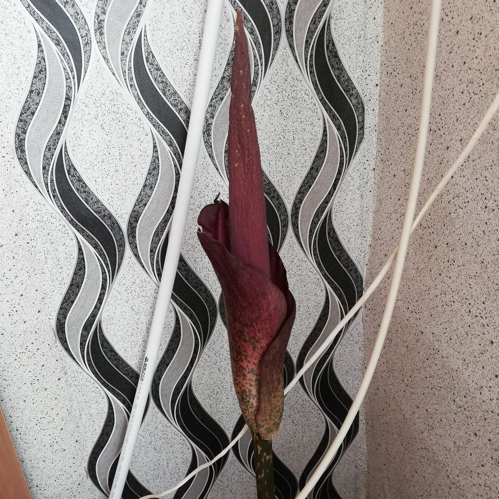 Photograph by Татьяна Александрова