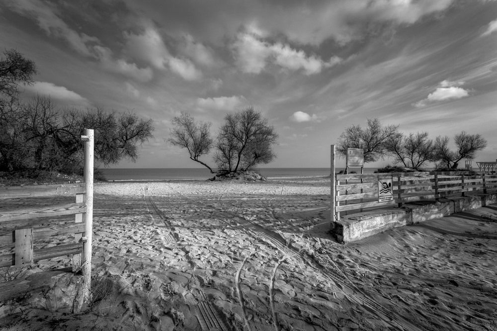 Photograph by Владимир Гамаюнов