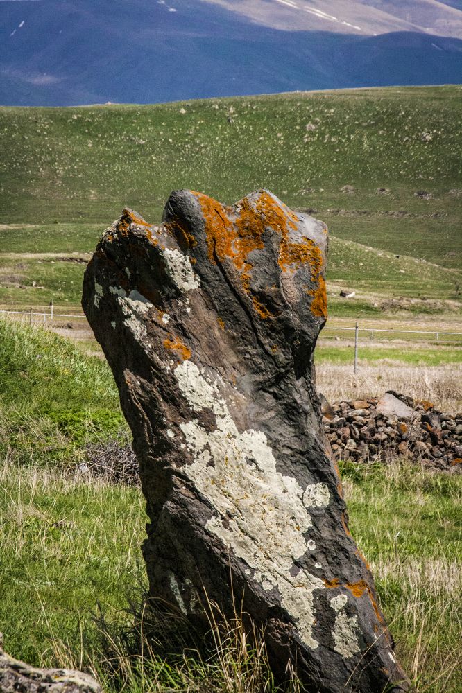 Фотография автора sose