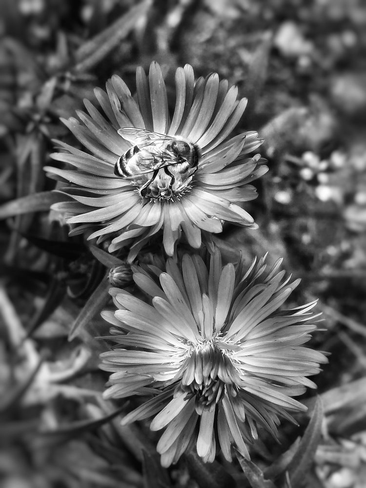 Тяжёлый труд