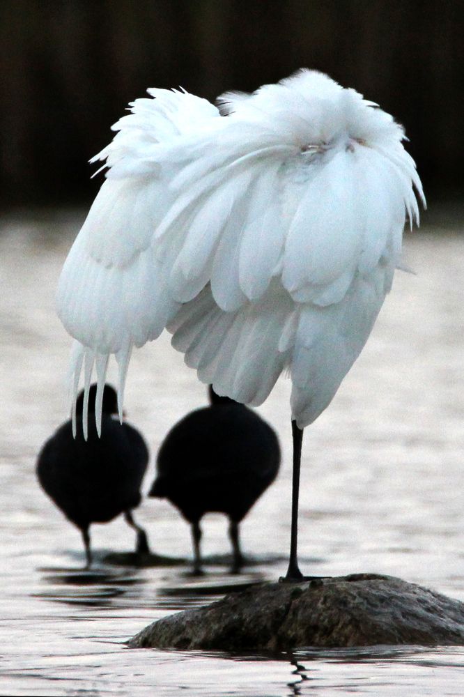 Photograph by Anna Suchcicka