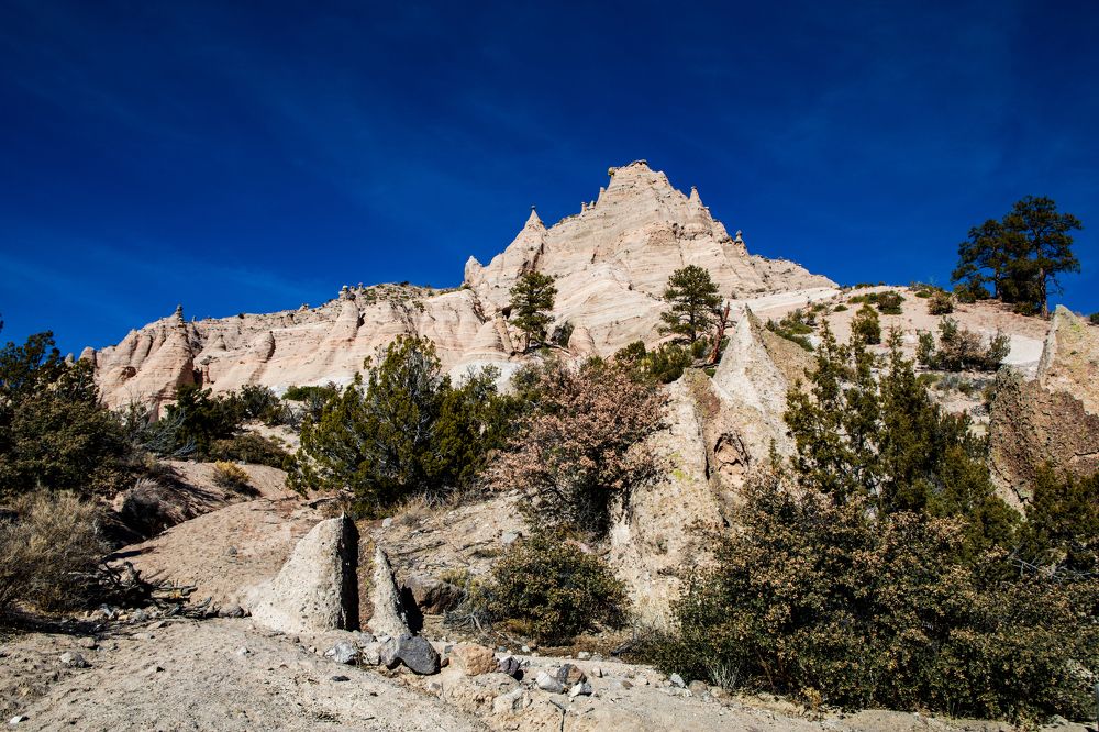 Фотография автора Anna Krylova