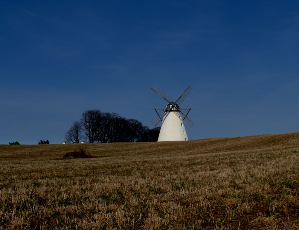В ожидании Дон Кихота