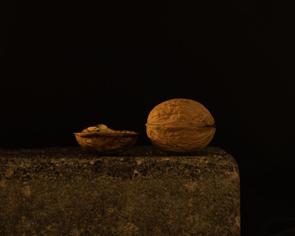 Photograph by AlyaLeta