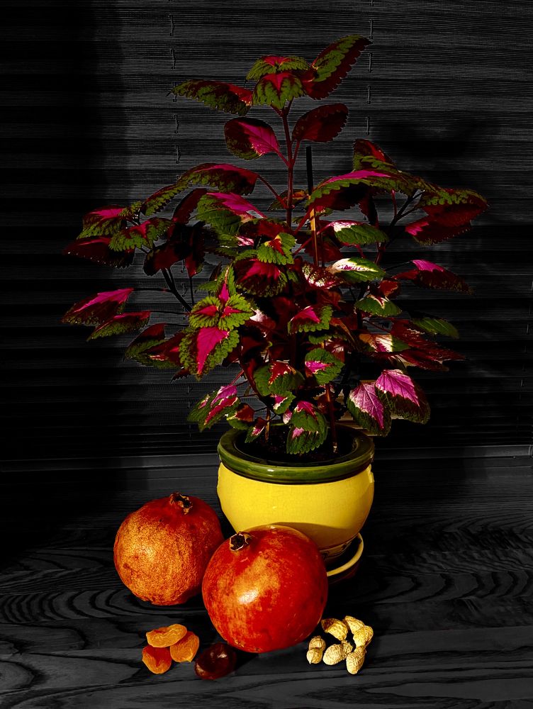 Натюрморт у окна