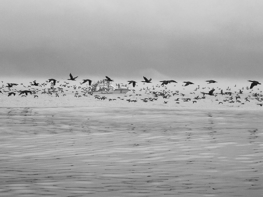 Photograph by Игорь Кощеев