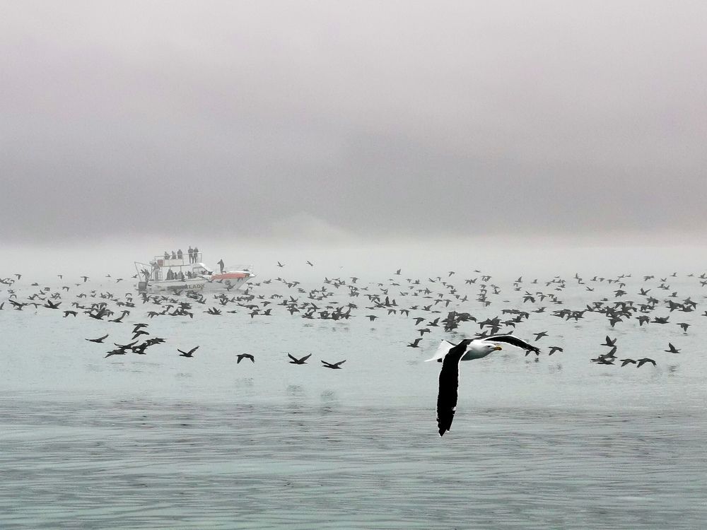 Photograph by Игорь Кощеев