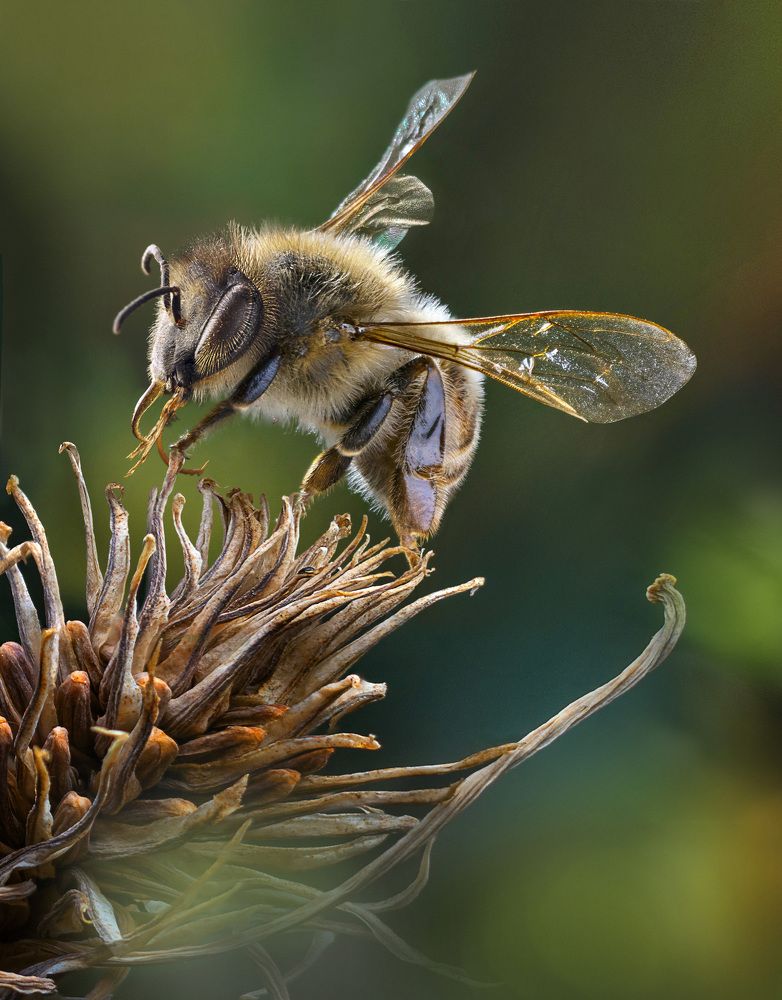 Photograph by Eduardo Modolo