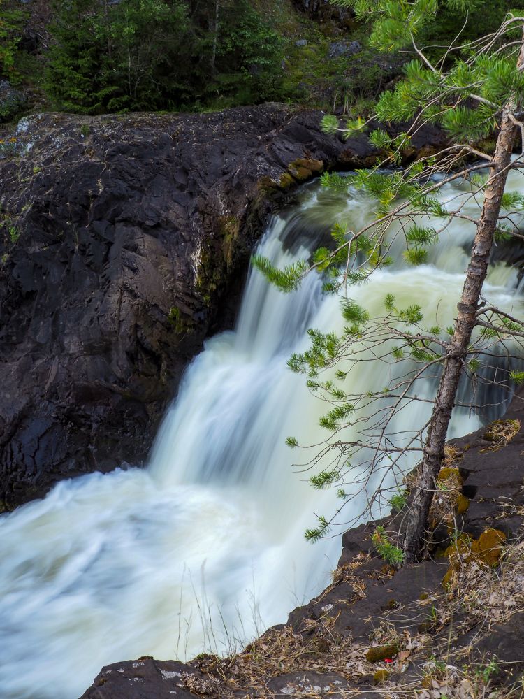 Photograph by Natalia Novikova