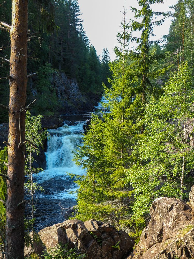 Photograph by Natalia Novikova