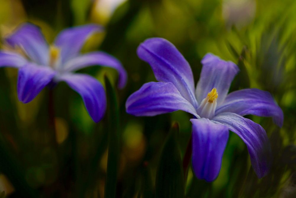 Photograph by Diana Brunner