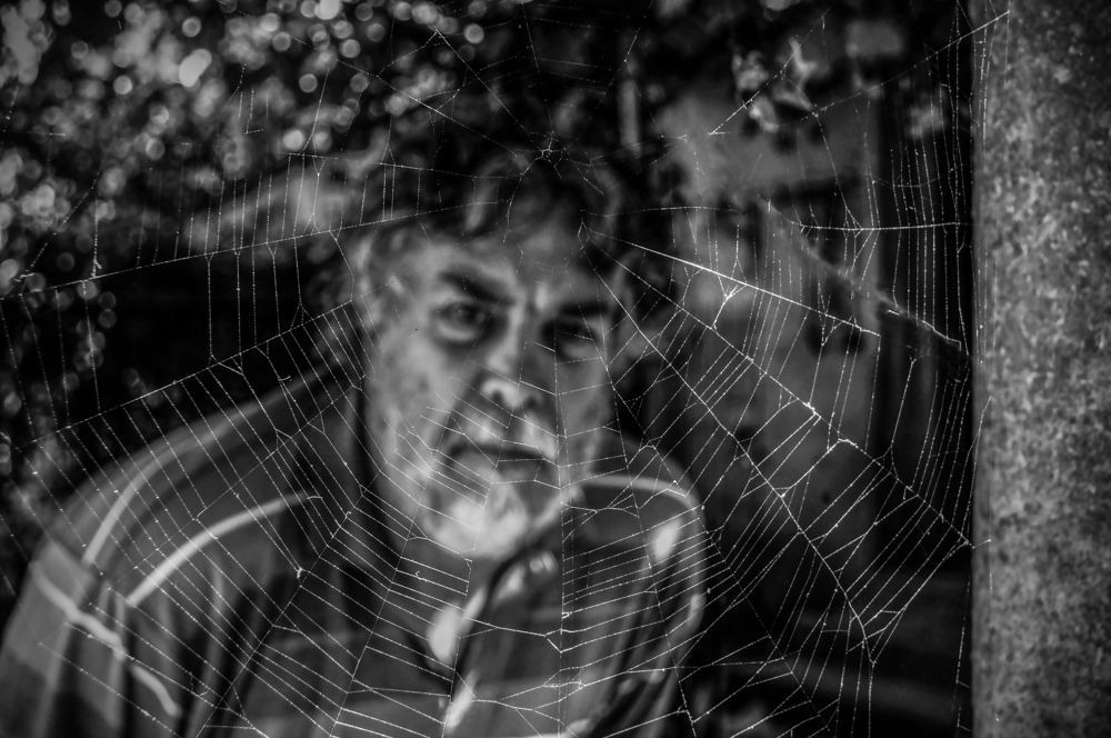 The Fall and Rise of Ricky and the Spiders from Glew