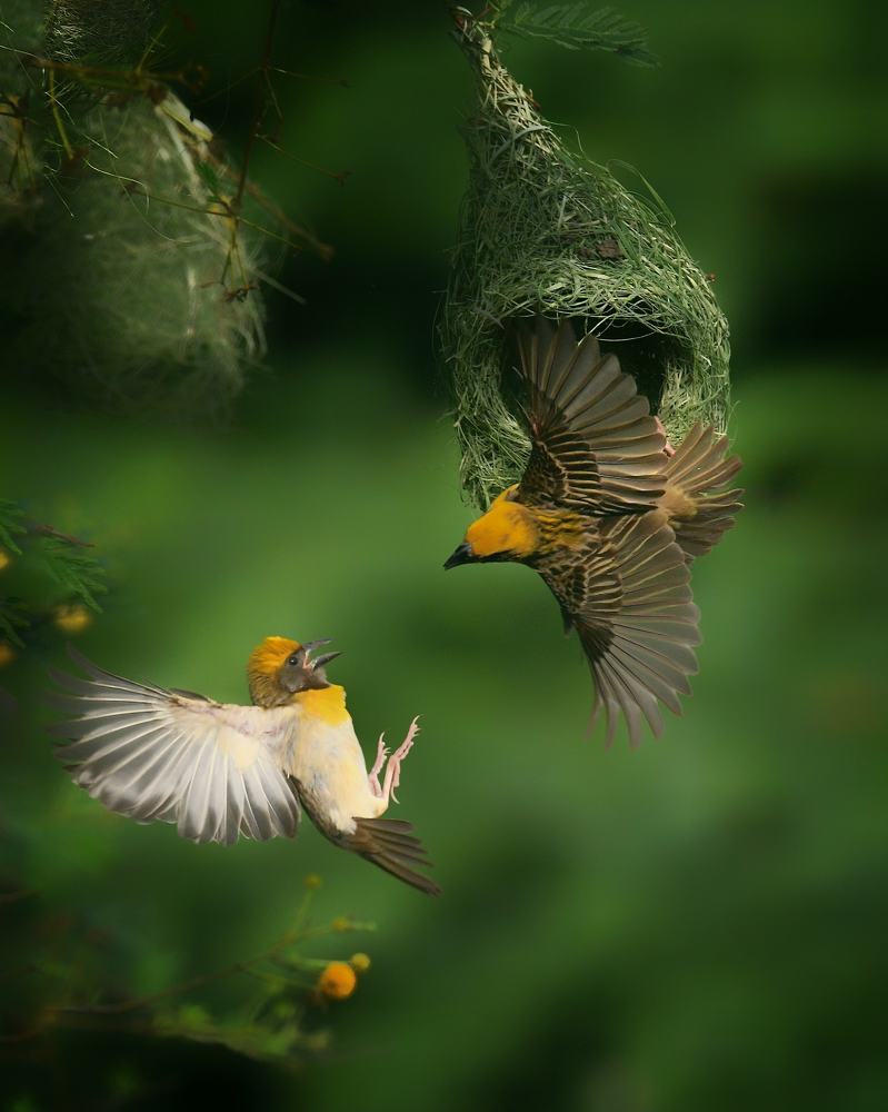 Photograph by Amit Jariwala