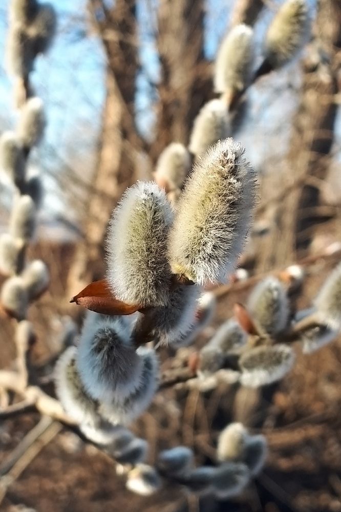 Photograph by Кадырова Анастасия