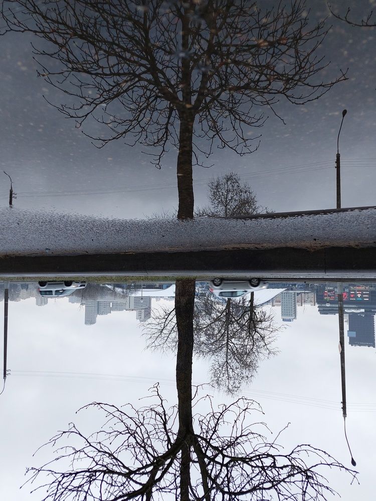 Photograph by Елена Зенкевич