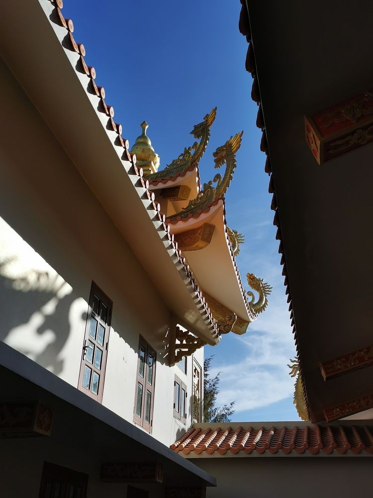 Фотография автора Галина Тарасова