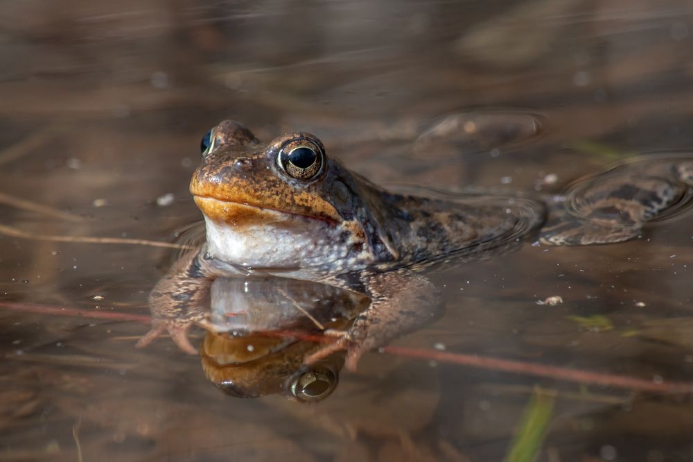 Приём солнечных ванн.