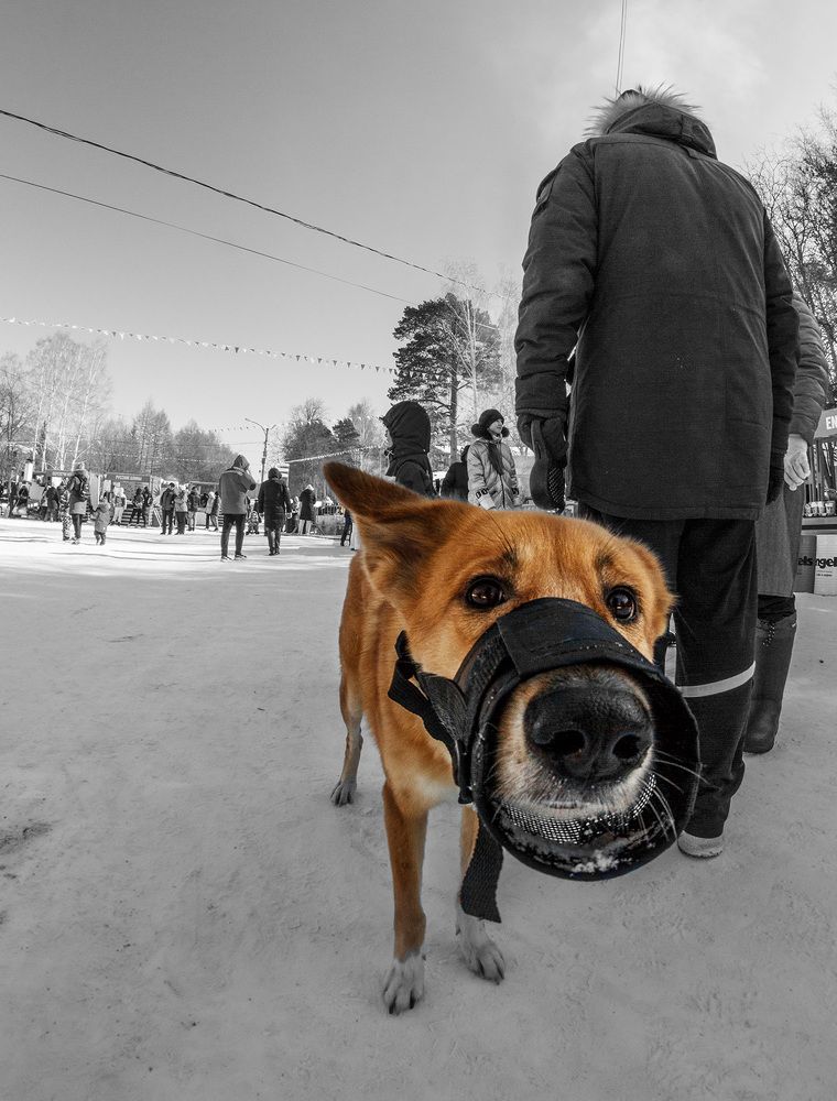 Photograph by Иванов Максим