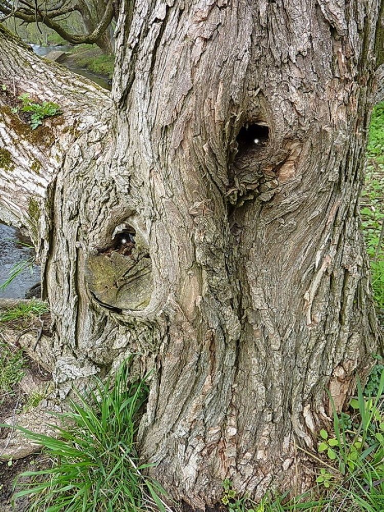 Photograph by Вячеслав Розмин