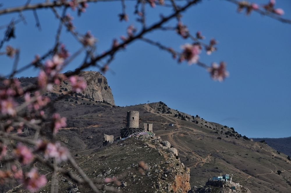 Photograph by Виктория Сметанина