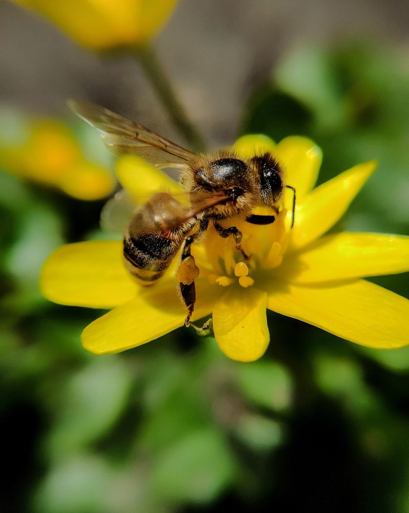 Photograph by Светлана Смирнова