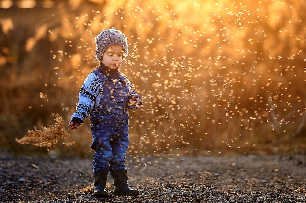 Фотография автора Галина Щербина