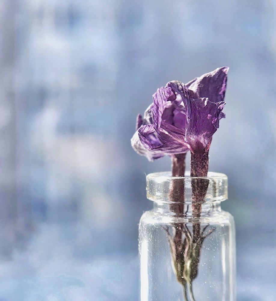 Photograph by Татьяна Мельникова