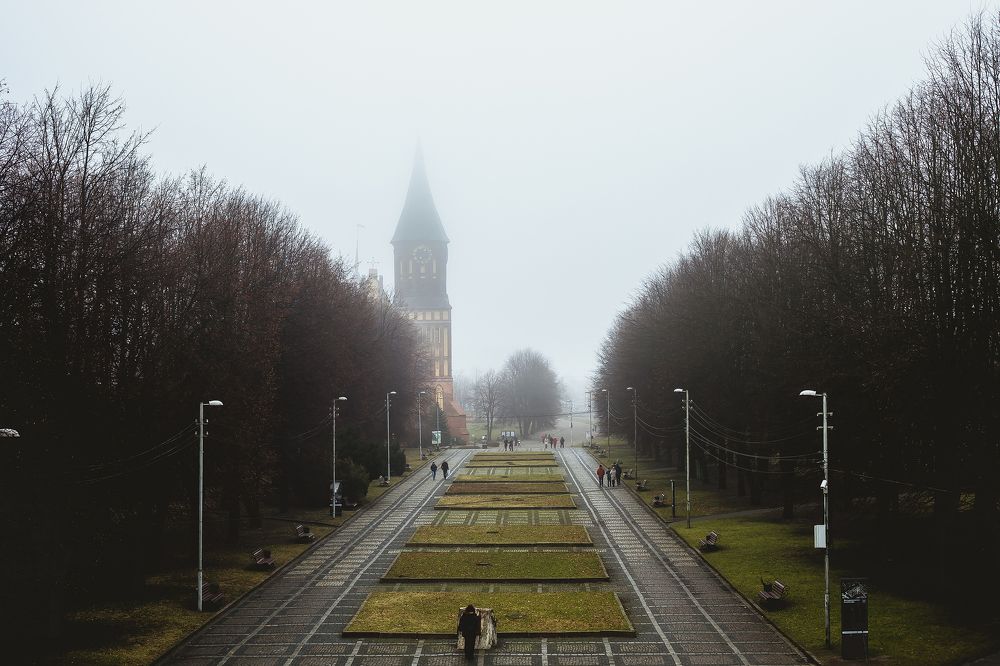 Photograph by Алина Аристова