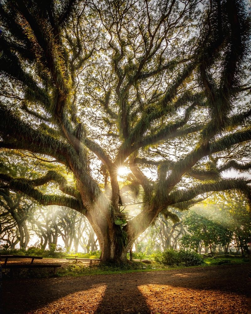 Фотография автора Wahid Hasyim