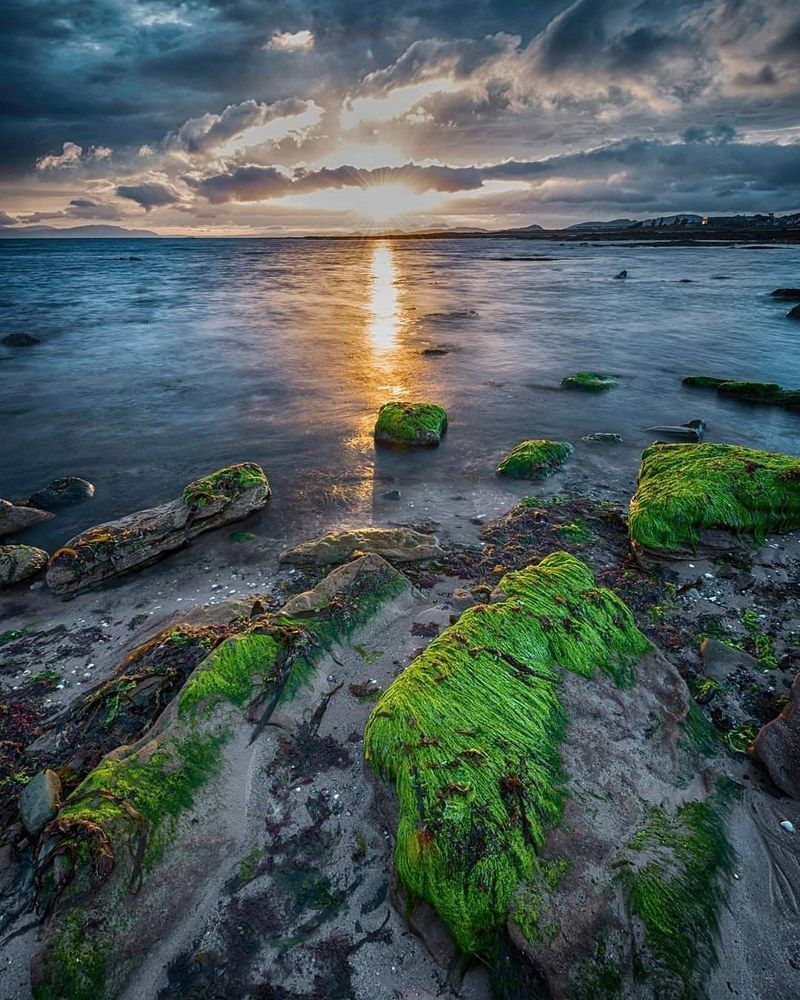 Фотография автора Nikolai Zemljannikov