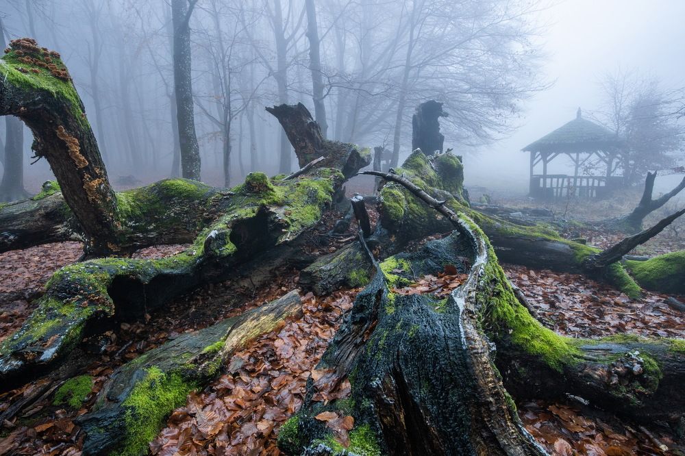 A truly unrealistic country