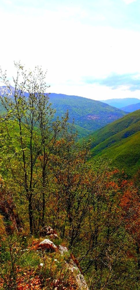 Photograph by Dafinka Sokoloska