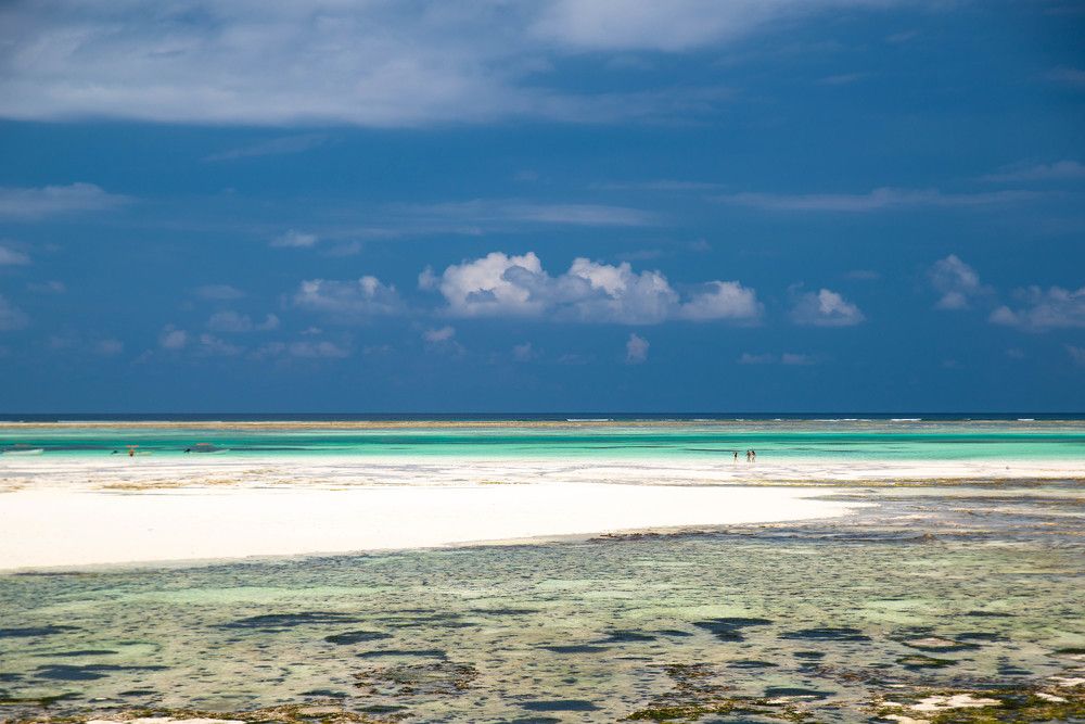 Photograph by Mihaela Nastase