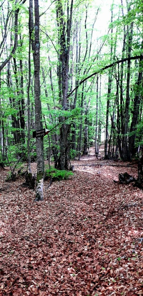 Photograph by Dafinka Sokoloska