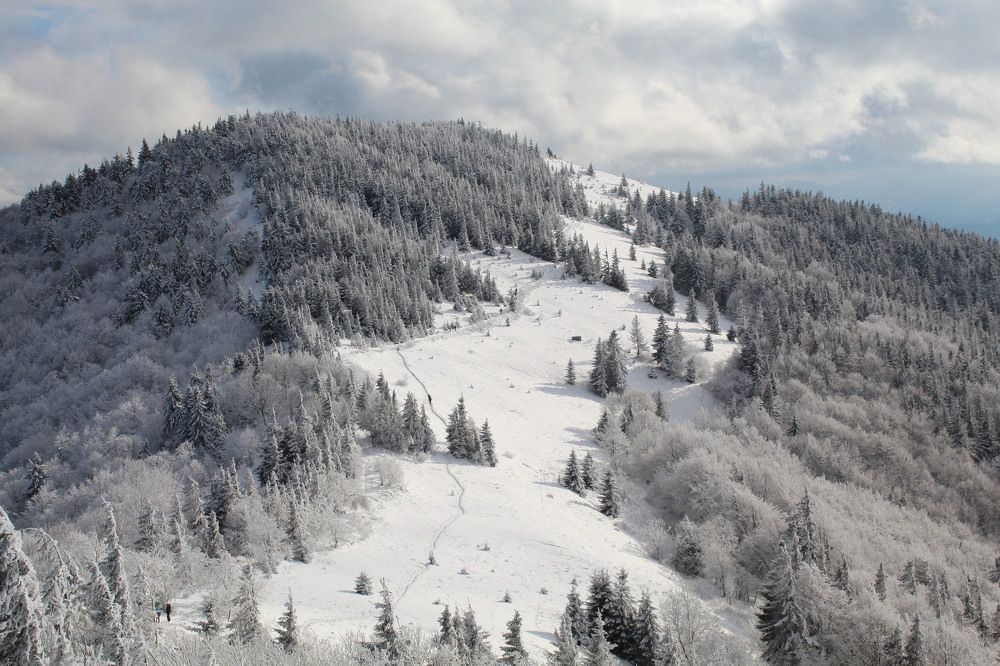 Фотография автора Наталія Савка