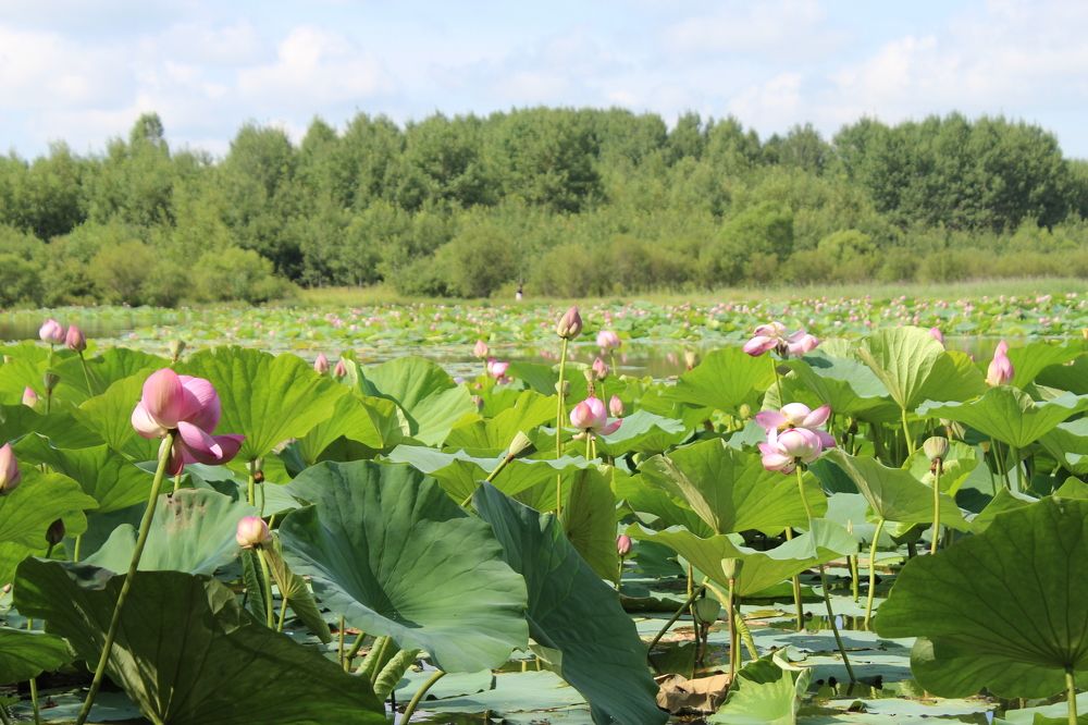 Photograph by  Людмила