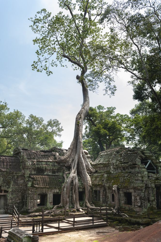 Photograph by Евгений Балухин