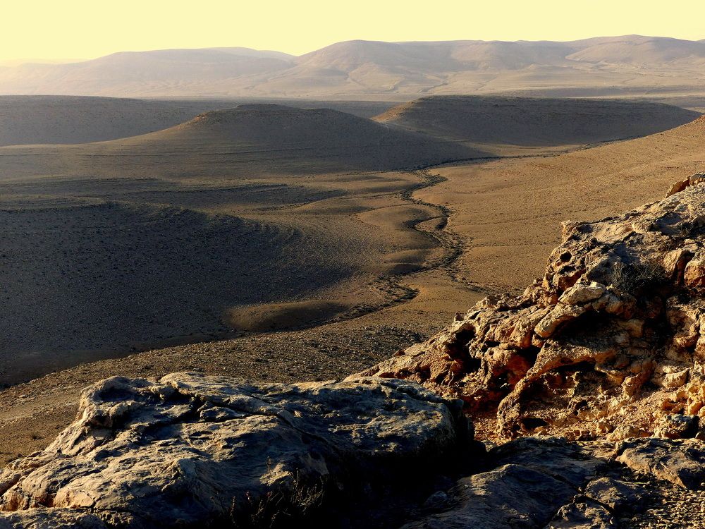 Photograph by Haim Berman