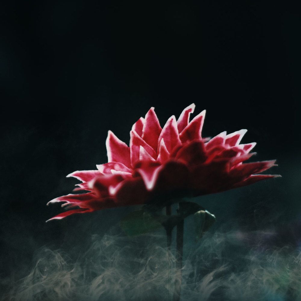 Photograph by Pedro Javier Pilamunga Rueda