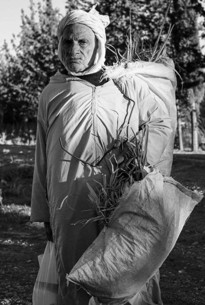 The hardship of the Sheikh