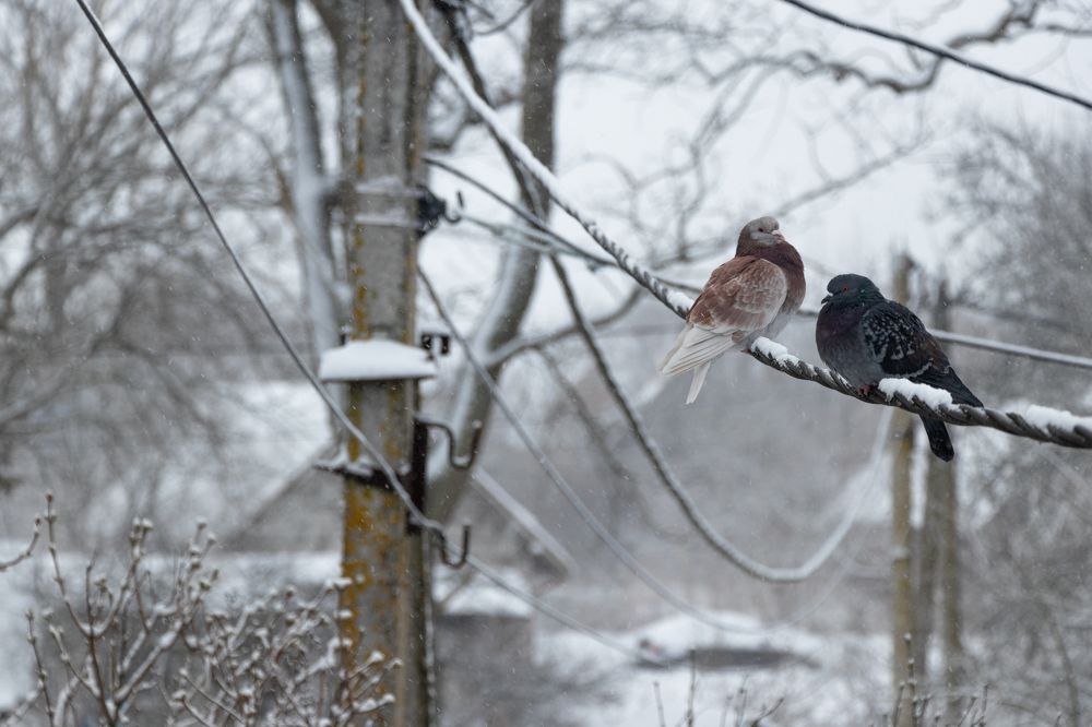 Stuck in the Kingdom of the Snow Queen