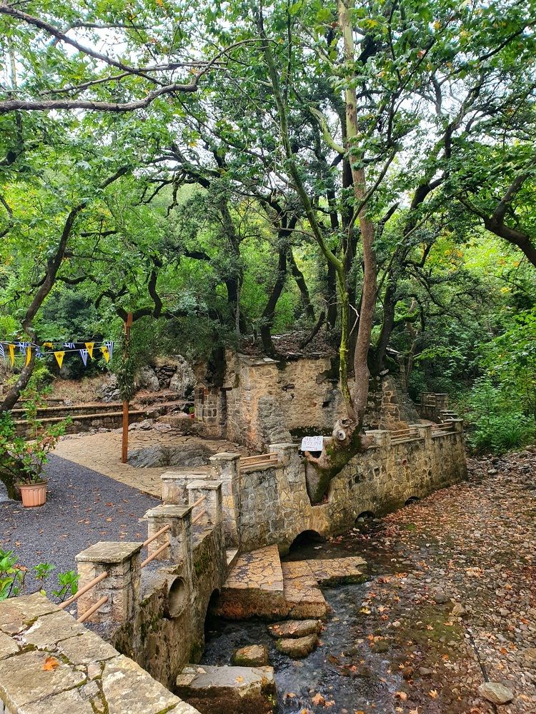 Photograph by Daria Priimak