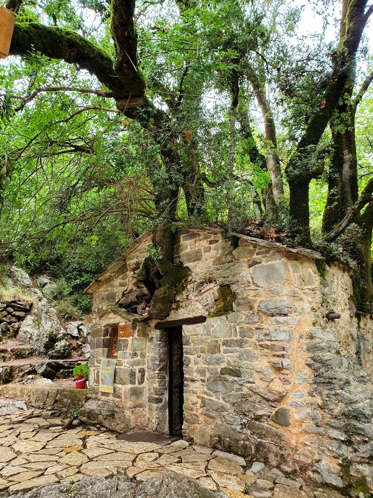 Photograph by Daria Priimak