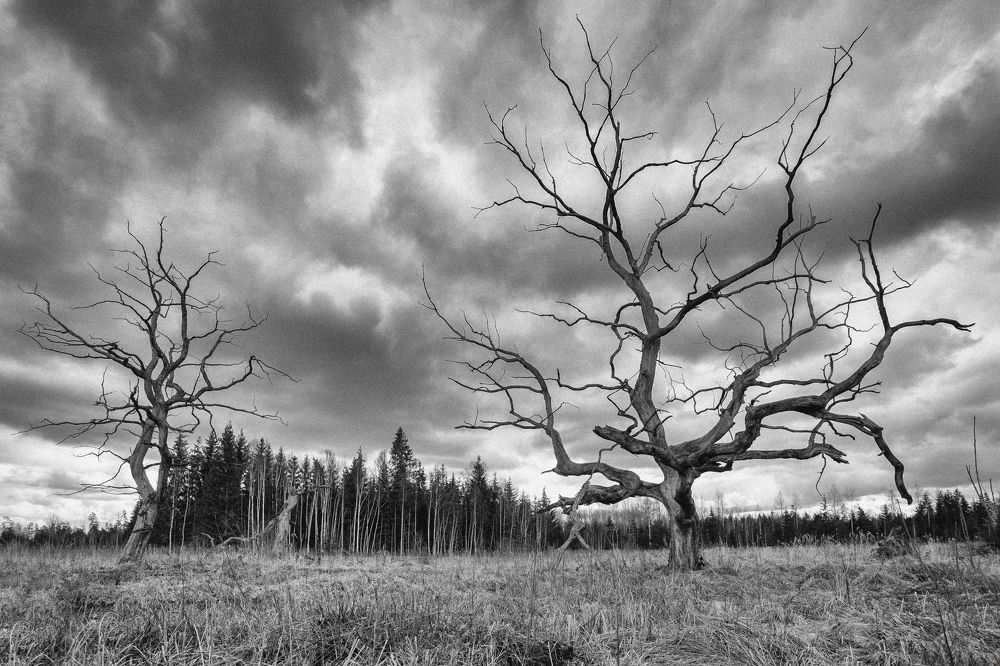 Photograph by Александр Клиновский