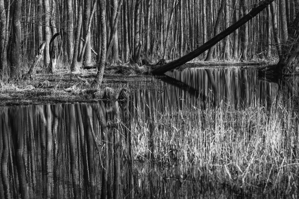 Photograph by Александр Клиновский