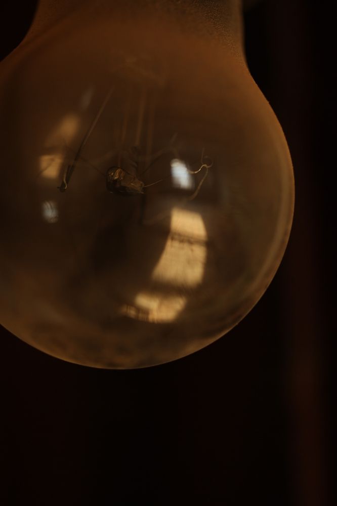 Photograph by Владимир Ясюкевич