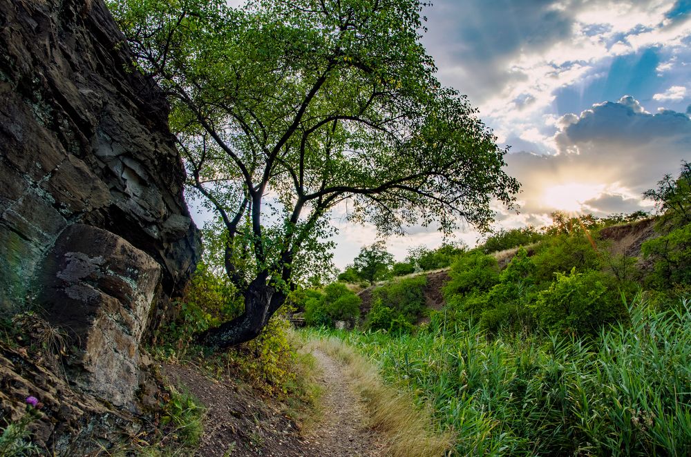 Фотография автора Vladislav Shilo