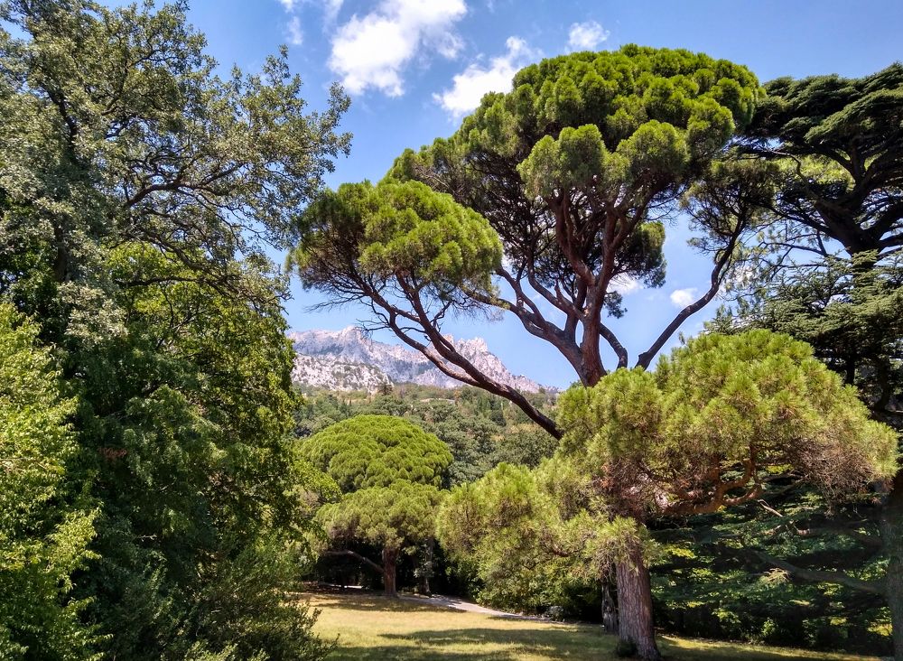 Солнечный день