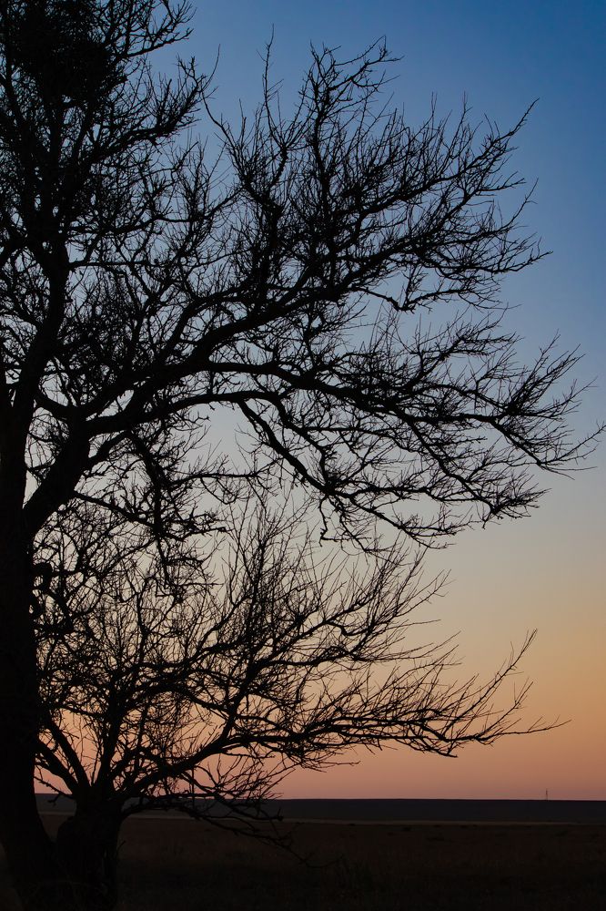 Photograph by Татьяна Новикова